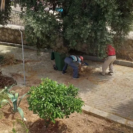 Villa Olive Grove *