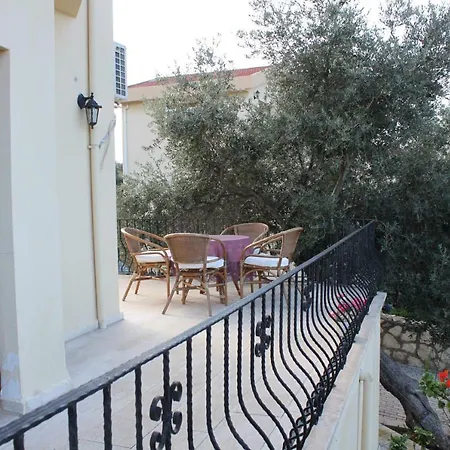 Olive Grove *
