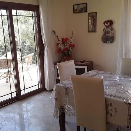 Olive Grove *