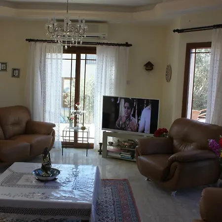 Olive Grove Agios Amvrosios (Kyrenia)