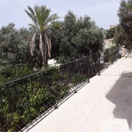Olive Grove * Agios Amvrosios (Kyrenia)