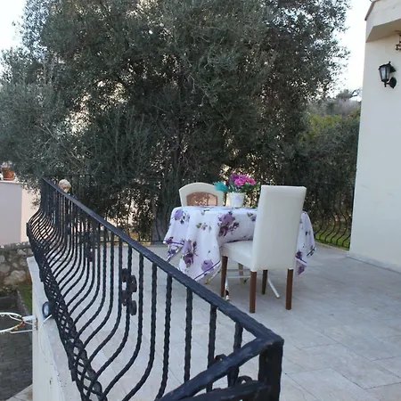 Olive Grove Agios Amvrosios (Kyrenia)