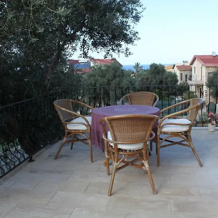 Olive Grove * Agios Amvrosios (Kyrenia)