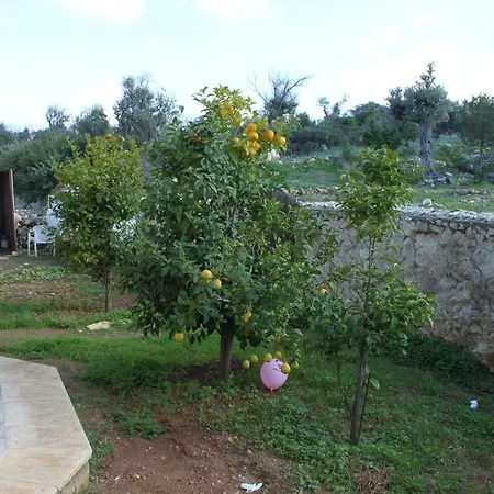 Olive Grove Vilă Agios Amvrosios (Kyrenia)